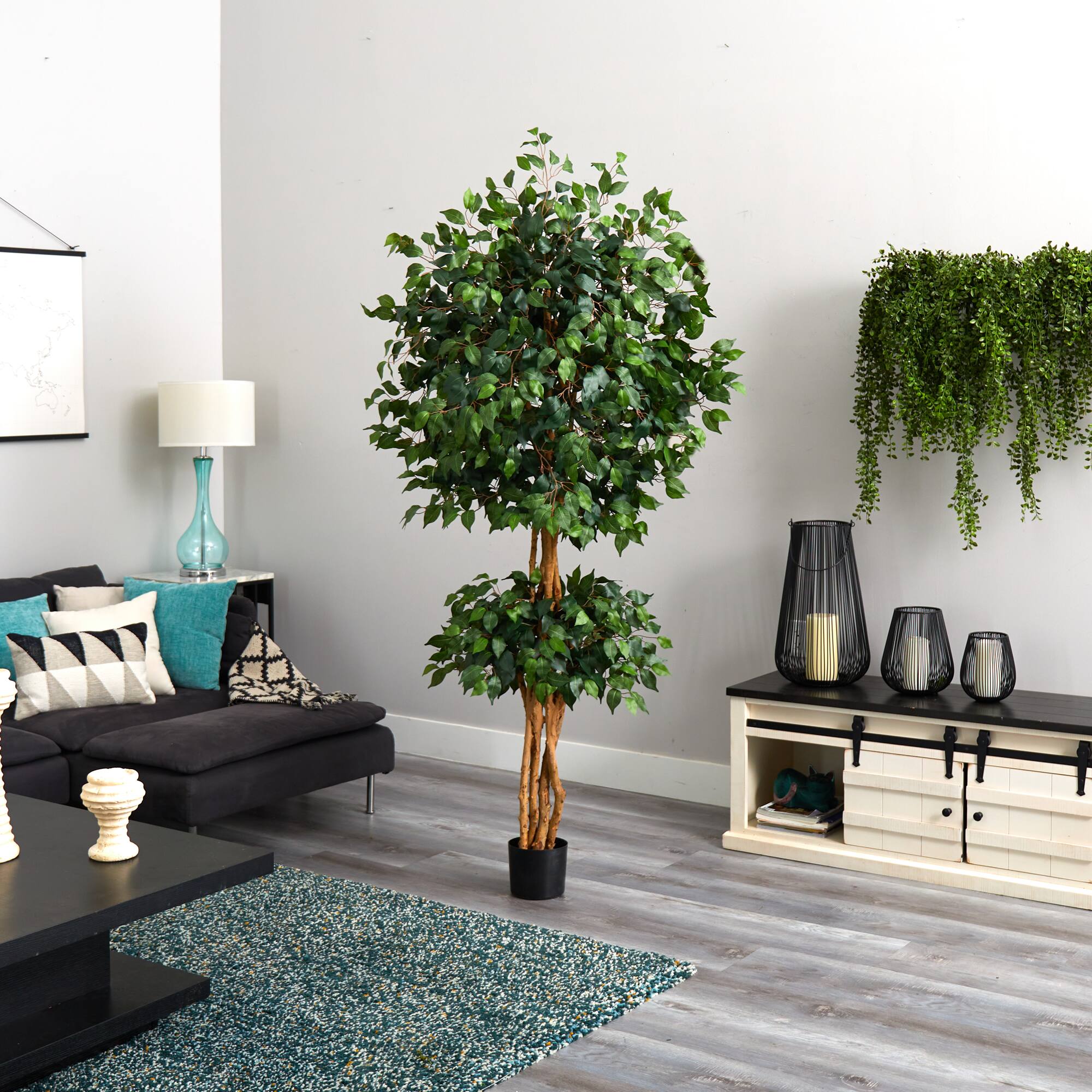 6ft. Potted Double Ball Ficus Silk Tree